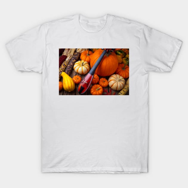 Pocket Violiv Among Autumn Harvest T-Shirt by photogarry